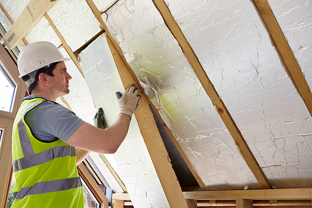 Best Specialized Insulation Services in Flushing, MI